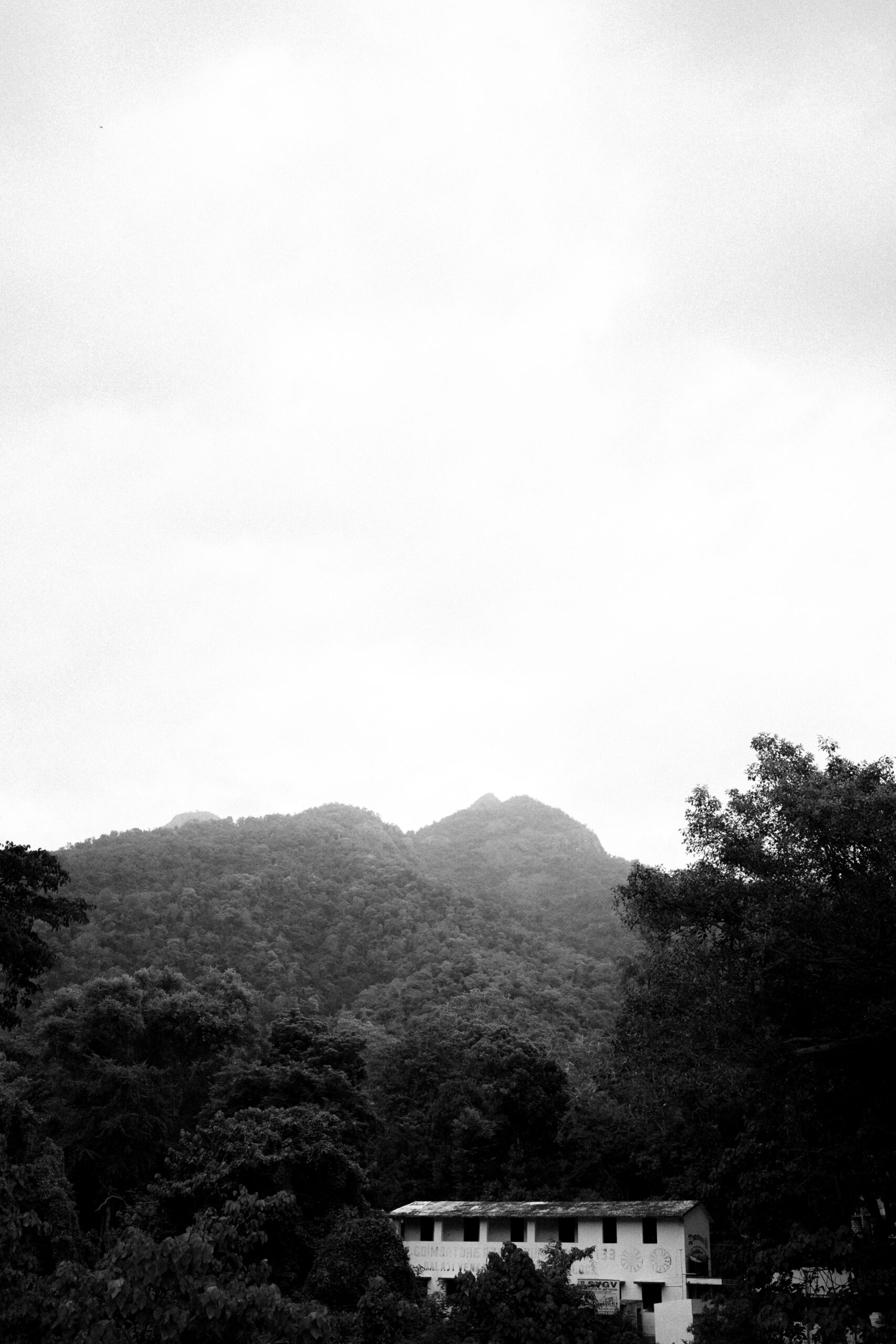 _AJU0282